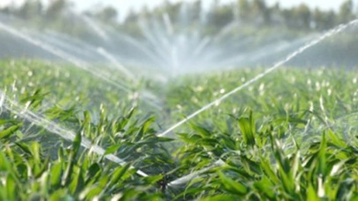 ANIF: Peste un milion de hectare de teren agricol, irigate în 2020